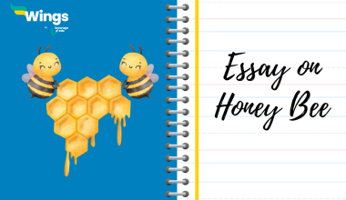 essay on honey bee