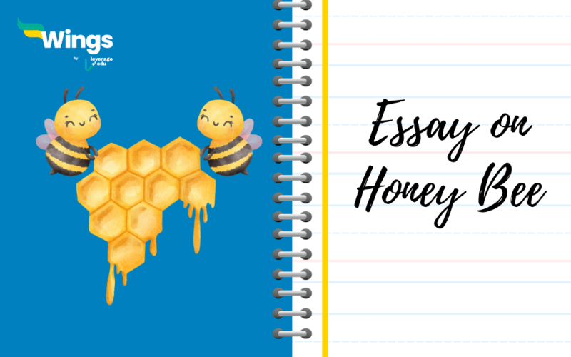 essay on honey bee