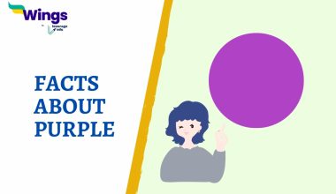 FACTS ABOUT PURPLE
