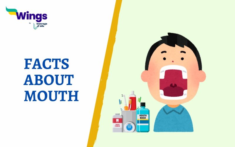 FACTS ABOUT MOUTH
