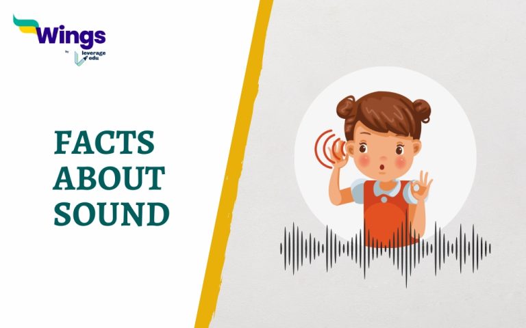 23 Interesting Facts About Sound Waves in Science - Leverage Edu