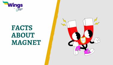 FACTS ABOUT MAGNET
