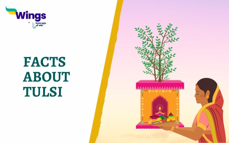 FACTS ABOUT TULSI