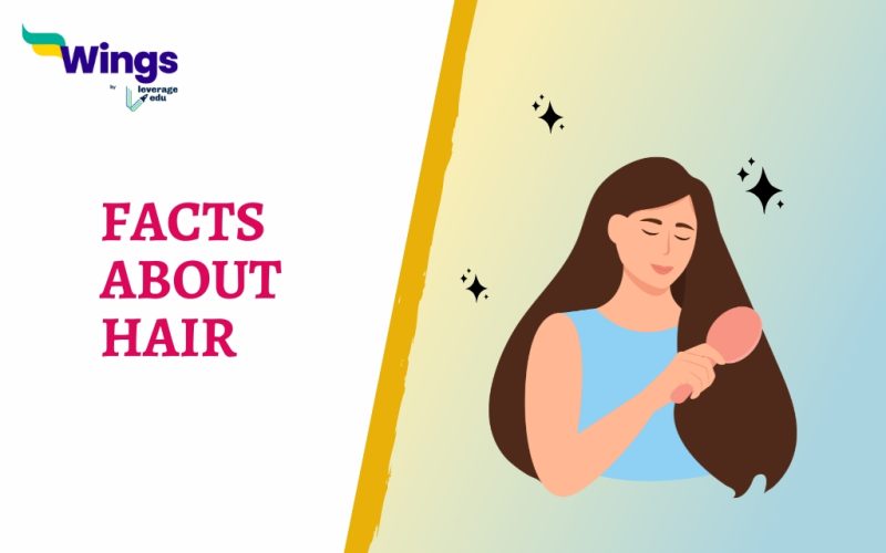 FACTS ABOUT HAIR