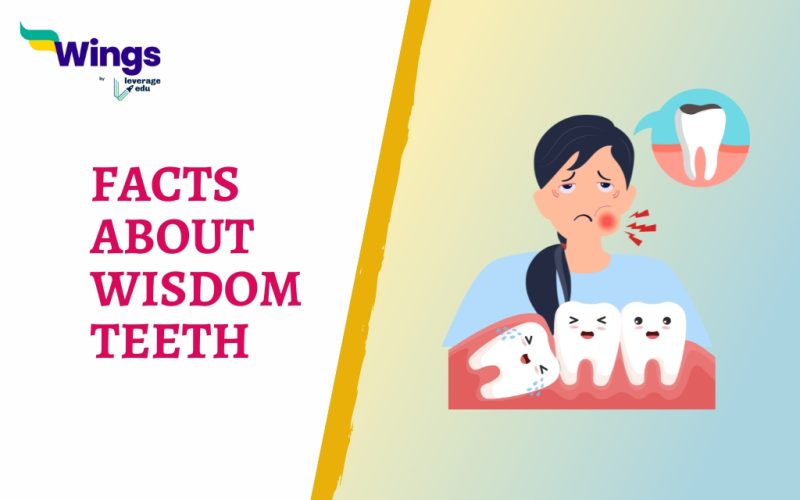 FACTS ABOUT WISDOM TEETH