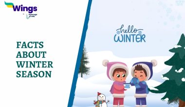 Facts About Winter Season