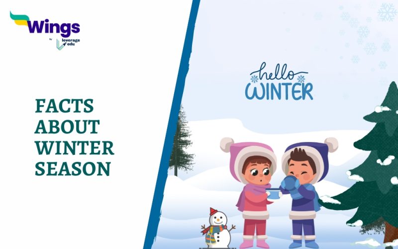 Facts About Winter Season