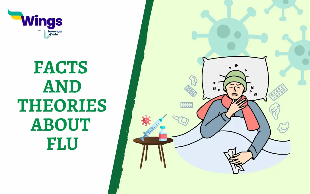 Interesting Facts and Theories about Flu
