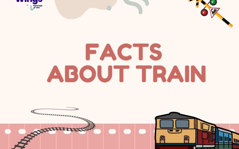 fact about train