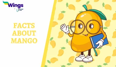 Facts About Mango