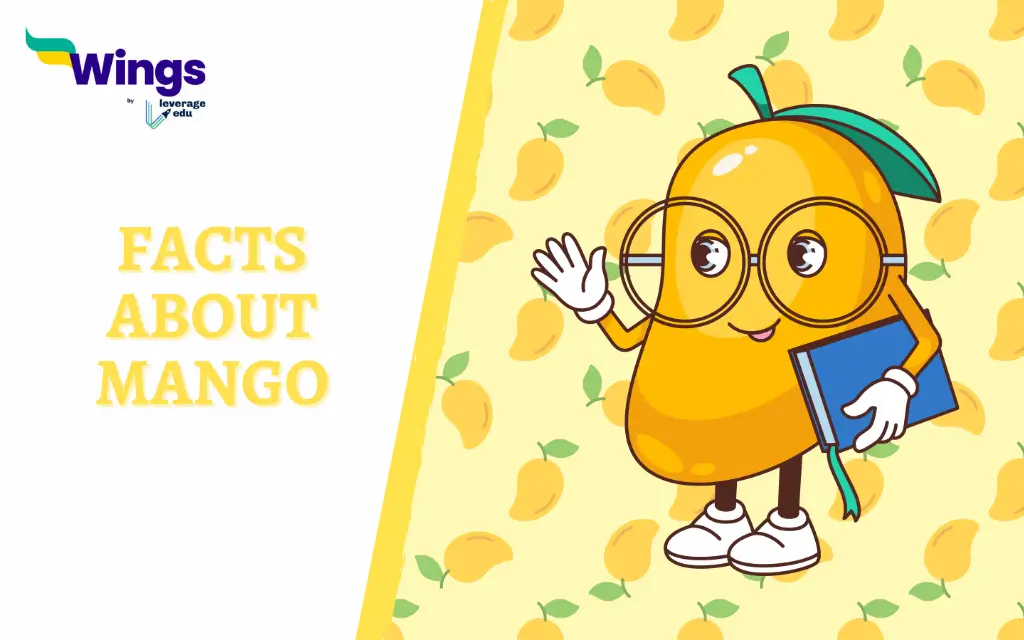 Facts About Mango