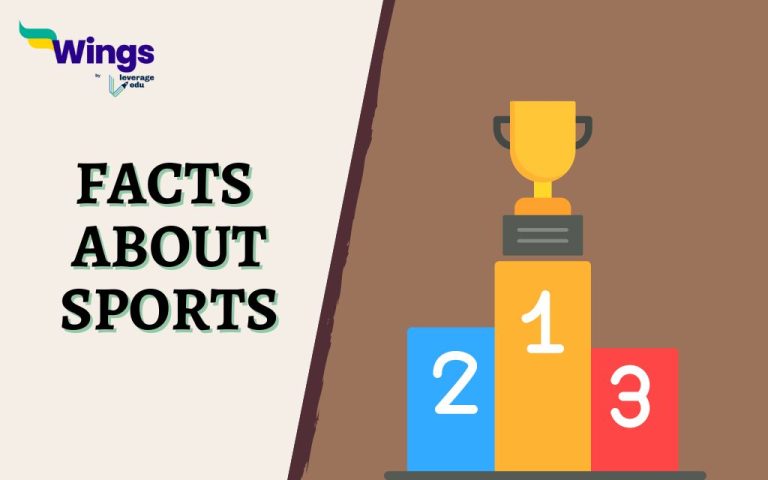 all about sports, hangman