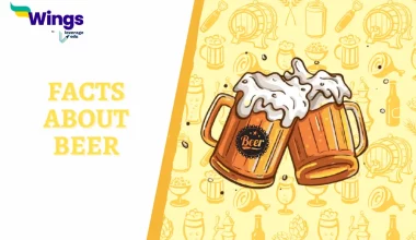 Facts About Beer
