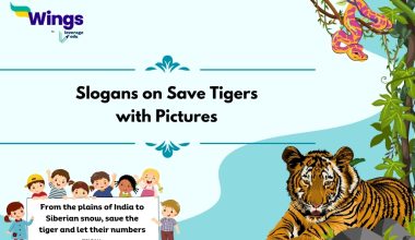 Slogans on Save Tigers with Pictures