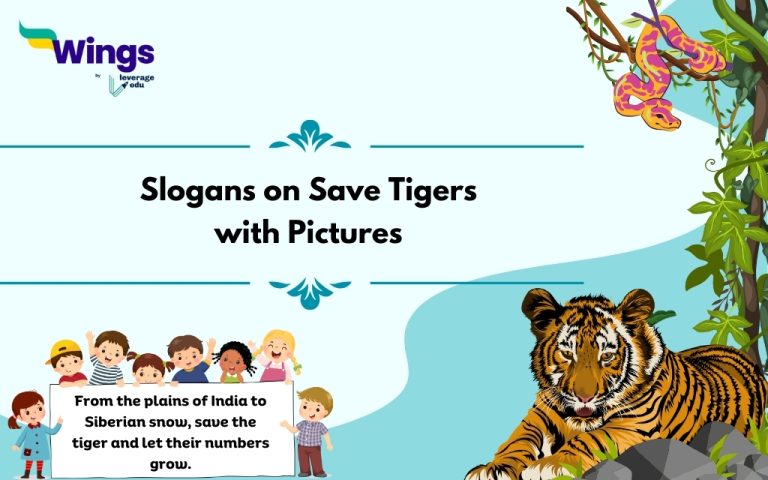 20 Slogans on Save Tiger in English with Pictures