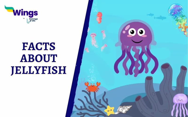 Interesting Facts About Jellyfish