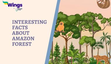 Interesting Facts About Amazon Forest