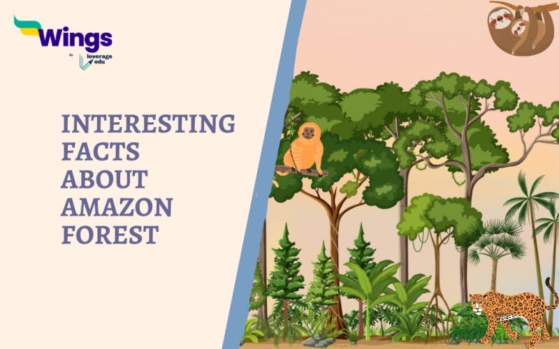 Interesting Facts About Amazon Forest