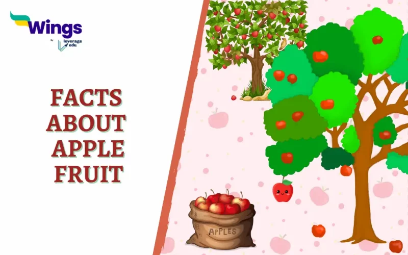 Facts about Apple Fruit