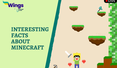 Interesting Facts About Minecraft