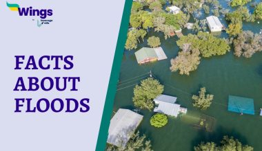 Facts About Floods