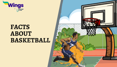 Facts About Basketball