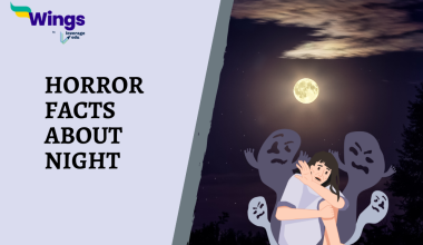 HORROR FACTS ABOUT NIGHT