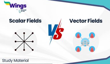 Difference Between Scalar and Vector Fields