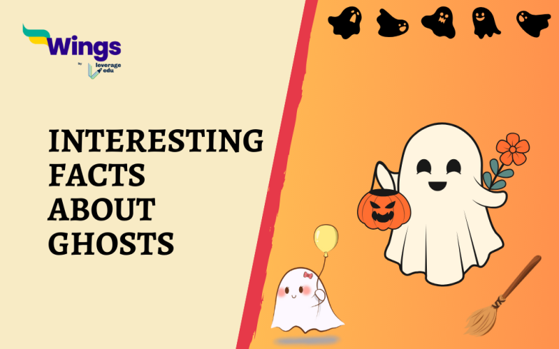 25+ Fun Facts About Ghosts For Every Horror Lover | Leverage Edu