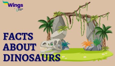 Facts-About-dinosaurs