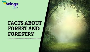 Facts-about-Forest-and-Forestry