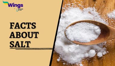 Interesting-Facts-About-Salt.jpg