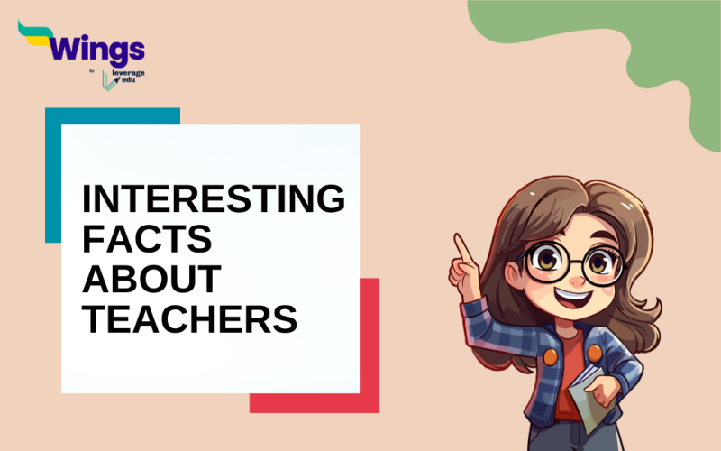 interesting Facts About Teachers