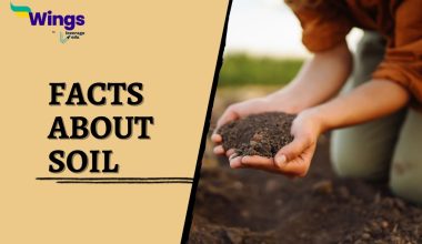 Facts-About-soil