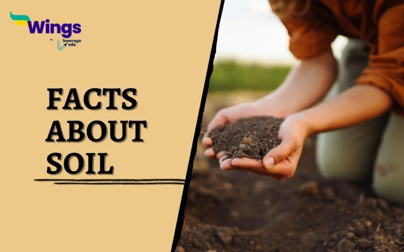 Facts-About-soil