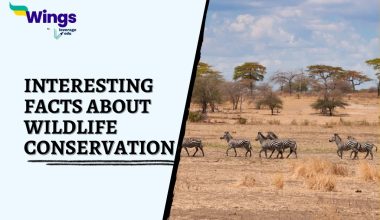 Interesting-Facts-about-Wildlife-Conservation