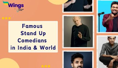 Famous Stand Up Comedians in India