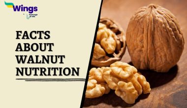 Facts-about-Walnut-Nutrition