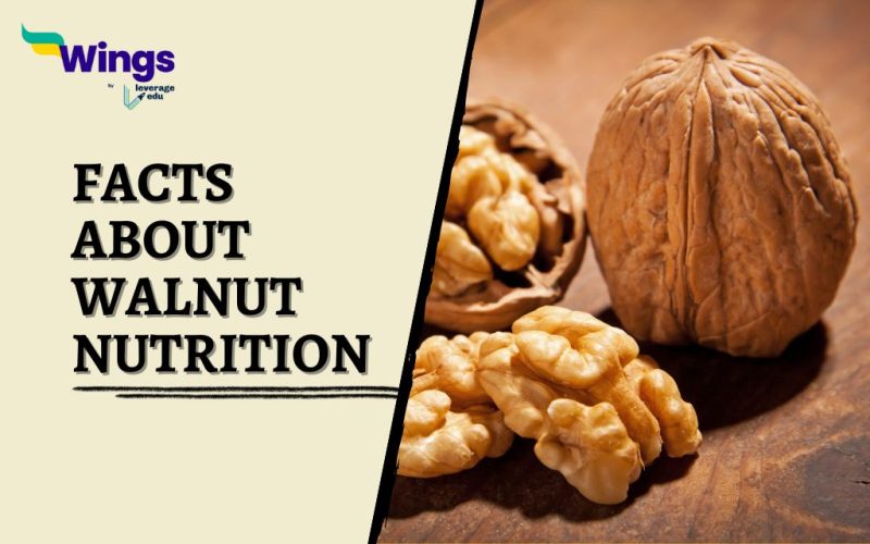 Facts-about-Walnut-Nutrition