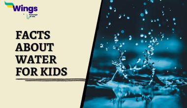 Facts-About-Water-for-Kids