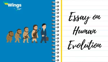 Essay on Human Evolution