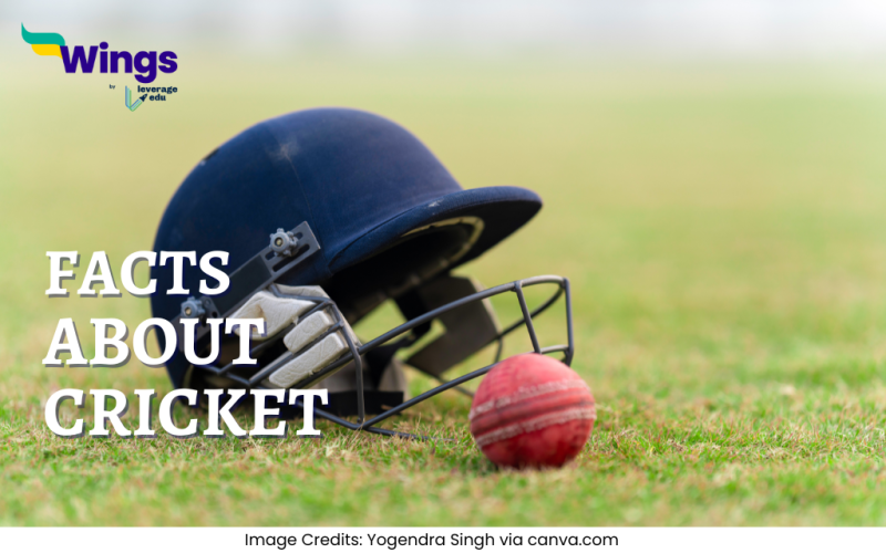 Facts About Cricket