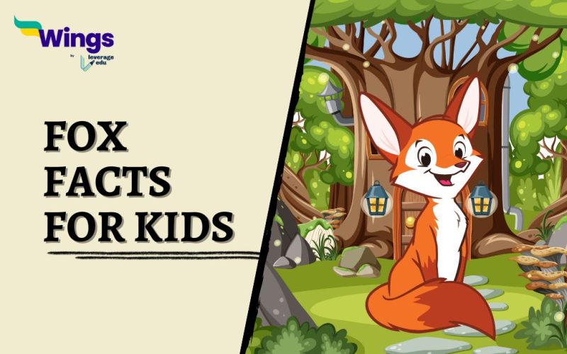 Fox-Facts-for-Kids