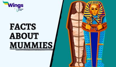 Facts-About-Mummies