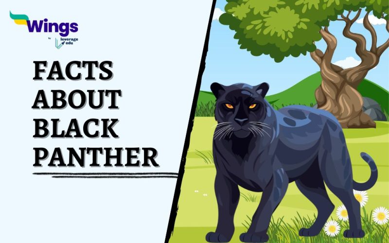 Facts-about-Black-Panther