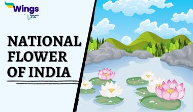 National-Flower-of-India