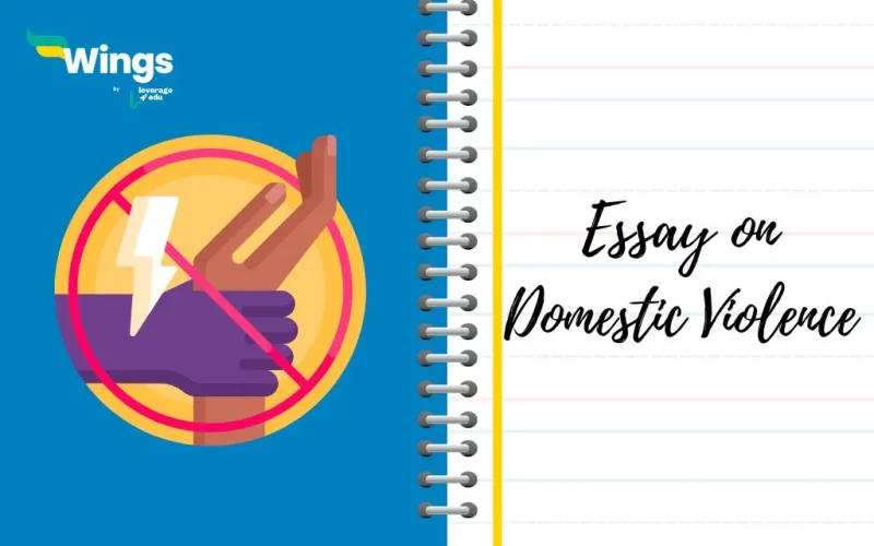 Essay on domestic violence