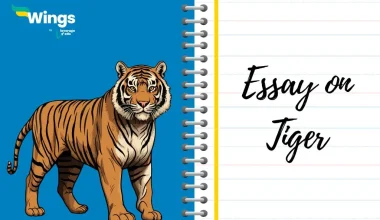 Essay-on-Tiger-