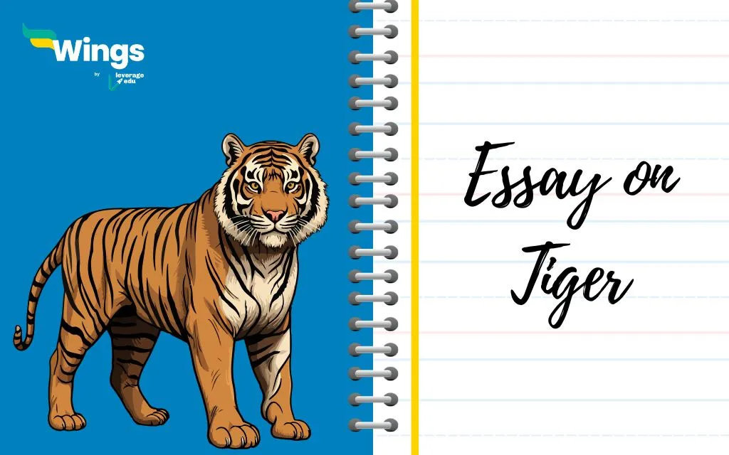 Essay-on-Tiger-