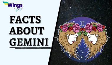 Facts-About-Gemini